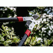 Coupe-branches à cliquet télescopique p90-t 69,5-94 cm – MTF – 50 mm – 1zst4182_3