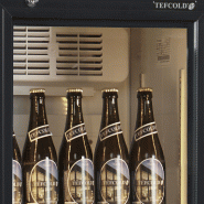 Réfrigérateur à boissons compact FSC175H TEFCOLD_3