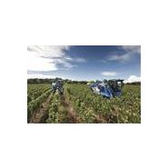 New holland braud 7030l machine à vendanger - new holland- convoyeurs haute capacité (mm) 500_3