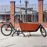 Arceau antivol vélo cargo coloris jaune ou gris_3