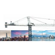 Sk 452-20 grues à tour à poinçon - terex - capacité de levage max. : 20 t (22 t us)_3