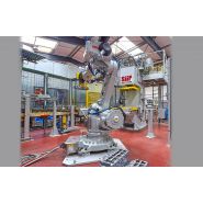 Cellule robotisée aluminium - SIIF - grande flexibilité jusqu’à 200 campagnes et cadence 20 à 100 pièces/heure_3