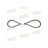 Courroie du ventilateur - Massey Ferguson - référence PTA-A53529_3