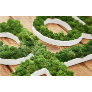 Lettres végétales durables et uniques - Signalétique personnalisée PANO Nice Ouest_3