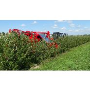 Récolteuse à groseille et fruits JOANNA PREMIUM - WEREMCZUK - Puissance minimale 55 CH - Productivité 0,20-0,35 ha/h - Capacité 1150 kg_3