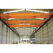 Grues avec ponts roulants double et unique poutres avec une capacité de charge de 1 à 63 tonnes - BVS_3