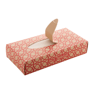 Boîte mouchoir sur mesure - 100 mouchoirs en papier recyclé 2 épaisseurs - Impression quadri incluse_3