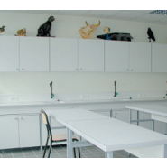 Sur-meubles vitrines - 1200 x 300 x 600 mm - Réf RA 8207 - BIOLAB - Meubles vitrés avec étagères réglables et portes en verre sécurit_3