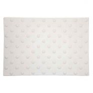 Bande podotactile vigiligne methacrylate_3