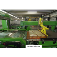 Palettisation de boites ou bocaux pleins ou vides - constructeur Mectra_3