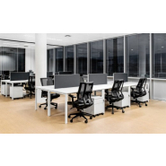 Fauteuil XT41 avec Dossier Flexible et Appui Lombaire - Référence 6417 FR110_3