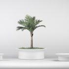 Jardinière Hat en béton cylindrique avec capacités différentes - Blanc/Gris - Marbre/Carrière concassée_3