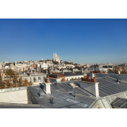 Ligne de vie à chariot pour couverture zinc volige - dispositif d'ancrage horizontal avec potelet absorbeur intégré_3