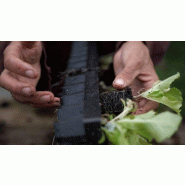 Winstrip - Lot de 5 plaques de semis - Winstrip 72, 72 cellules - 50x25 cm - Plastique recyclé sans BPA_3