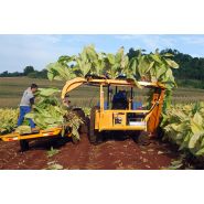Récolteuse de tabac rmtd - kirpy - largeur de travail 3.85 m_3