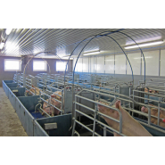 Étables pour l'élevage de porcs - Plafond en béton cellulaire - Système Wolf_3