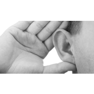 Souffleur      Billy Goat    F1302SPH et F1802SPV_3