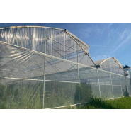 Serre à travées multiples conçue pour la couverture de vastes surfaces - Multimed_3