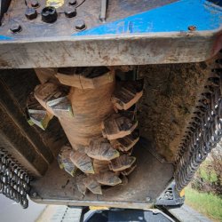 Broyeur forestier TFK - Pour pelles de 2 à 5 tonnes - Diamètre de coupe jusqu'à 15 cm