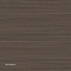 Banque d'accueil Z2 cuir haut de gamme - Officity - 206, Eucalyptus, Cuir brun