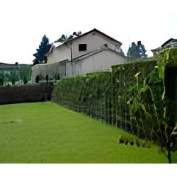 Betoflor ® hauteur maximum : 2,40 m