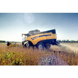 Moissonneuse batteuse CX8.80 Tier 4B - New Holland - trémie 11 500 L - largeur de coupe 6,10 à 12,50 m