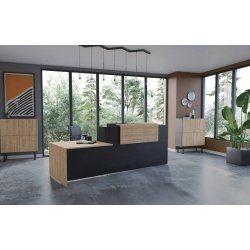 Banque d'accueil modulable et design pour espaces professionnels