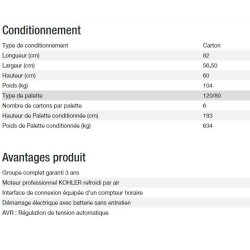 Technic 6500 E AVR UK - Groupe électrogène Kohler - Puissance max 6,30 kW - 50 Hz - 230 V
