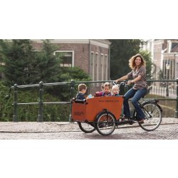 Triporteur Babboe Big - Transport jusqu'à 4 enfants - Boîte Nexus 7 vitesses - Freins tout-temps Shimano