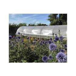 Serre tunnel pour les maraîchers et horticulteurs à installer - tous types de sols - MINI