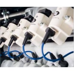 Patruus - Groupe électrogène industriel 50 à 64 kW - 2G Énergie SAS - Technologie robuste et modulaire