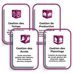 Pointeuse Badgeuse pour enregistrer de manière fiable vos temps de travail