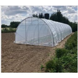 Magnum - Serre tunnel professionnelle Natural - largeur 4m, structure renforcée pour cultures sur ficelles