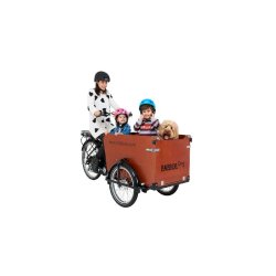 Triporteur électrique Babboe Dog-E - Moteur GWA Energy 250W - Dérailleur Shimano 7 vitesses