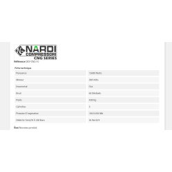 Dev-cng-10 compresseur de gaz naturel - Nardi Compressori France - 36 Nm3/h - certification ATEX - pour véhicules fonctionnant au méthane