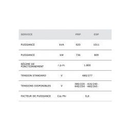 GMW-810 T6 - Groupe électrogène industriel triphasé 60 Hz - Genelec - 1011 kVA - Diesel - MTU - Alternateur STAMFORD