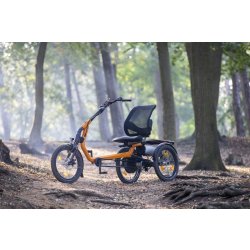 Tricycle Easy Rider pour adultes avec cadre unique et siège confortable