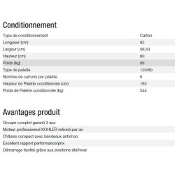Perform 6500 TB groupe électrogène - Kohler - Gamme Perform - Puissance max 6,5 kW - 50 Hz - 230 V