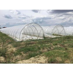 Serre tunnel  à travée unique - Montage et démontage rapides - conçue pour la Production horticole - Tunneleasy
