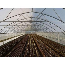 Serre à travée unique idéale pour la production horticole et le stockage de matériel agricole - Easyart