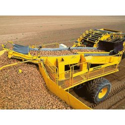 Arracheuse de pommes de terre ROPA Keiler 2L - trémie 5,5 t - entraînement hydraulique