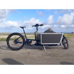 Vélo Cargo utilitaire professionnel avec une charge utile de 100 kg sur la plateforme avant - JHOG-E