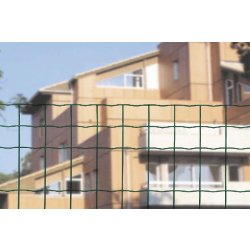 Grillage soudé maille 100x50mm Ral 6005 - 2000