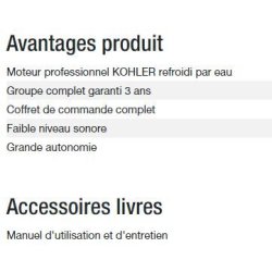 Power XP-K9-Alize groupe électrogène - Kohler - 400/230 V - Gamme Industrial - APM 303