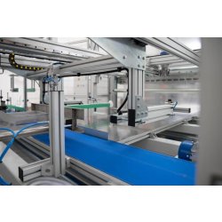 Insacchettatrice Automatica Taniche 2