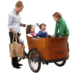 Triporteur Babboe Curve - Transport de 4 enfants - Boîte Nexus 7 vitesses - Pneus Big Apple