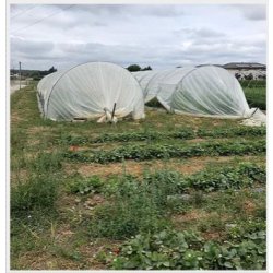 Serre tunnel pour maraichers - Largeur 4m50 - Hauteur 2,60m - Natural