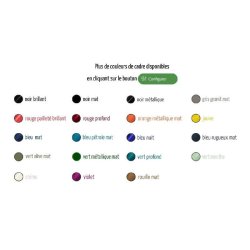 Vélo électrique Docker Premium - moteur roue avant - robuste et personnalisable