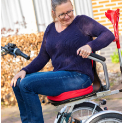 Tricycles individuels - Vélo-scooter Easy Go Van Raam - Polyvalent, Compact et Maniable