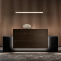 Banque d'accueil lumineuse et moderne pour entreprises exigeantes